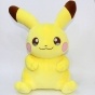 ������ �������-������� Pokemon