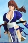 Dead or Alive 5 Kasumi