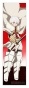 �������� Fire Force Shou Kusakabe