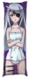 ��������� ���������� �� ������� ��������� Infinite Stratos - ����� �������