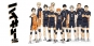    Haikyuu!! Karasuno Team