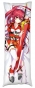 ���������� � �������� Akame ga Kill! - Elsword Elesis