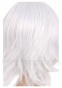   Silver Gray 35cm The Qwaser of Stigmata Sasha Nylon
