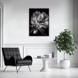     - Black & White Flowers