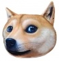  Doge 317508