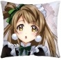  Love Live PW39313