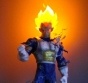   Dragon Ball Vegeta