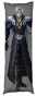 ��������� ���������� �� ������� ��������� Dissidia Final Fantasy - Sephiroth