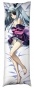 ���������� ��������� Infinite Stratos Bodewig Laura � ��������