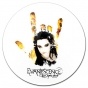    Evanescence - The open door
