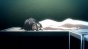  :  / B: The Beginning [HD]