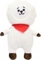 ������ ������� Bangtan Boys BTS - Rj (28 ��)