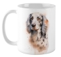 ������ English Setter / ��������
