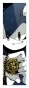    Sonic 2