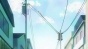   ,    ! / Watashi ga Motenai no wa Dou Kangaete mo Omaera ga Warui! [12  12 + OVA (13)] TV (720p)