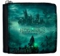        Hogwarts Legacy