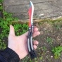 -  CS:GO  