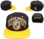��������� Harry Potter Hufflepuff