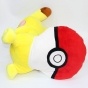 ������ �������-������� Pokemon