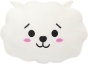   K-POP BTS Bangtan Boys - Rj