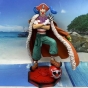  -  One Piece Buggy