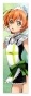 �������� Love Live! - Rin Hoshizora