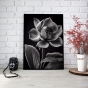     - Black & White Flowers