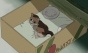 Momo the Girl God of Death (,   )