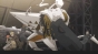 Last Exile () MPEG4