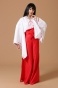������� ������ Inuyasha ������