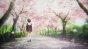 �����, ��������! / Hibike! Euphonium [13 �� 13] TV (720p)