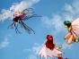 Hyper-Doll: Mew & Mica The Easy Fighters (-)