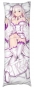 ���������� ��������� � �������� Re: Zero 6