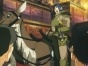 Vision of Escaflowne ( )