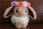 ������ ������� ������� - Eevee