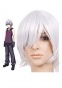   Silver Gray 35cm The Qwaser of Stigmata Sasha Nylon