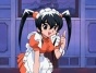 Hanaukyou Maid Team ( )