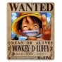    One Piece 39944