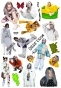 �������� Billie Eilish