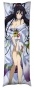 ��������� ���������� �� ������� ��������� Infinite Stratos - �������� ����