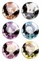 ����� ������� ������� "Servamp" No.2