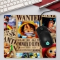    One Piece 40293