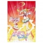  "Sailor Moon Eternal" Super Sailor Moon, Super Sailor Chibi Moon ( A3, 252 )