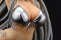  Ikkitousen Extravaganza Epoch - Shiryuu Chou'un Bunny Special 1/6 Complete Figure
