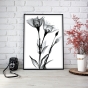     - X-Ray Flowers