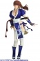 Dead or Alive 5 Kasumi