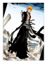    - Ichigo