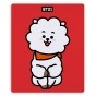 ������ ��� ����� ������������� BT21 - RJ