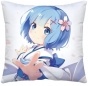 ������� Re: Zero kara Hajimeru Isekai Seikatsu PW50716
