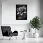     - Black & White Flowers